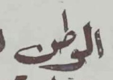 كلمات مؤثرة عن الوطن