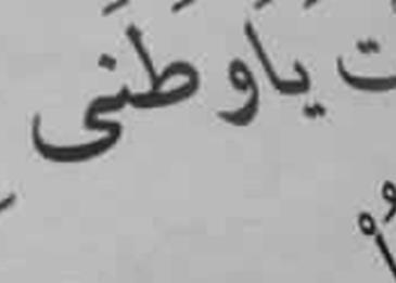 كلمات حزينة عن الوطن