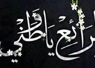 انشودة كلمات عن الوطن