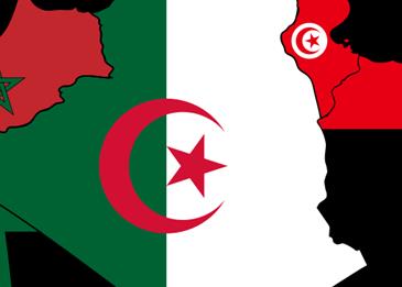 شعر عن الوطن السعودي