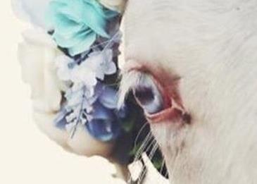 خلفيات انستقرام