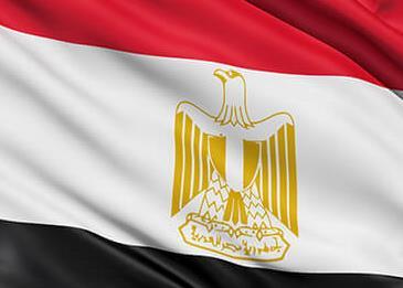 مقال ثقافي عن الوطني