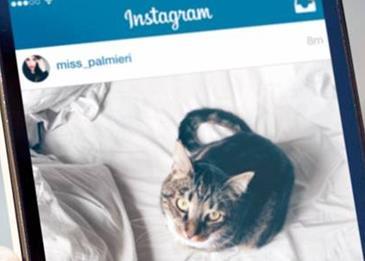 في منصّة إنستقرام حِسابات ريادية مُلهِمة وباعثة للسعادة والتحفيز، تعرّلإ إليها