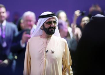 محمد بن راشد يعلّق على فيديو إنقاذ قطة في دبي "فخور بكل مظهر للرحمة في مدينتنا الجميلة"