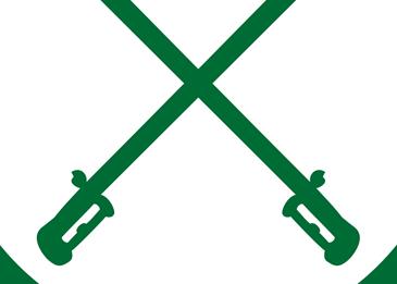 كلمة عن الوطن السعودي