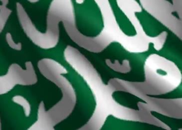 دور المواطن في المحافظة على الأمن المصدر السعودي