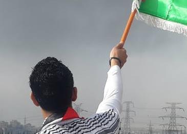 معلومات عامة عن فلسطين