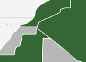 كلمات عن الوطن قصيرة