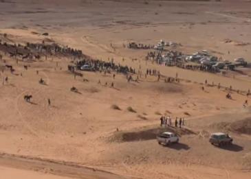 إصطدام قاتل بين مجموعة من الخيول وسيارة للدرك الجزائري