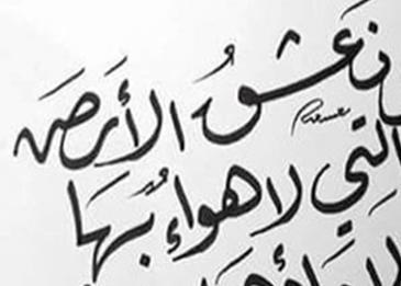 كلمات معبرة عن الوطن