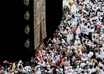 "الحج والعمرة" تكشف عن آخر موعد لقبول شكاوى حجاج الداخل... وهذه هي الشروط