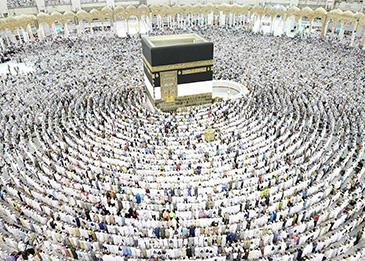 السعودية تضع 8 ضوابط لدخول "المواشي" إلى الأماكن المقدسة في موسم الحج