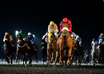 بيرلوتي تكشف النقاب عن مجموعتها الاستثنائية لكأس دبي العالمي 2019