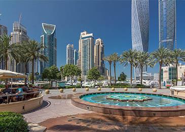 كاميرات ذكية لرصد مخالفات رمي القمامة في دبي