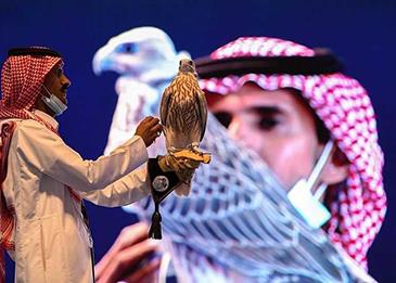 بيع أغلى صقر سعودي نادر بـ270 ألف ريال سعودي في مزاد دولي