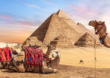 مصر توقف تمديد جوازات سفر المصريين بالخارج يدويًا