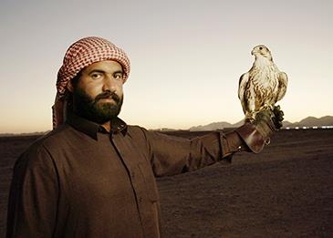 "حلفاء الطبيعة" وثائقي عن الصقارين بالمملكة العربية السعودية
