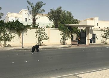 بالفيديو: غوريلا تتجول في شوارع الرياض!