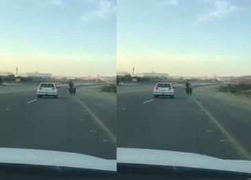 توصل الشرطة إلى الشباب الذين استعرضوا بالحصان والسيارة .. فيديو