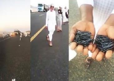 بالفيديو .. مسامير تفجر الإطارات على أحد الطرق
