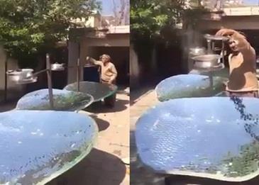 شاهد كيف طهى الآسيويين طعامهم في المملكة بطريقة تثير الإعجاب