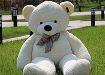 صدمة كبيرة بسبب هذا الدب