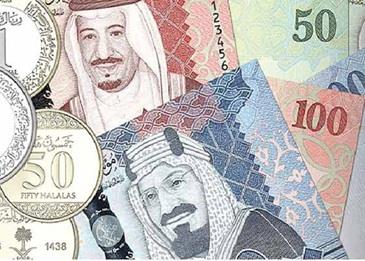 ارتفاع متوسط دخل الفرد في المملكة