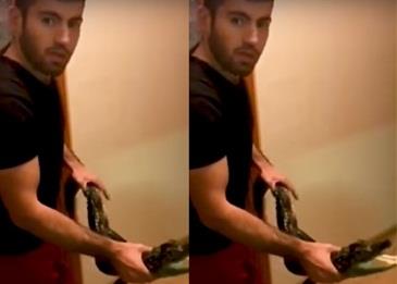 حديقة حيوان مفترسة داخل الشقة .. فيديو