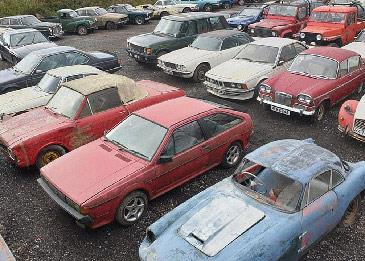 العثور على كنز من 135 سيارة كلاسيكية نادرة في أرض مهجورة