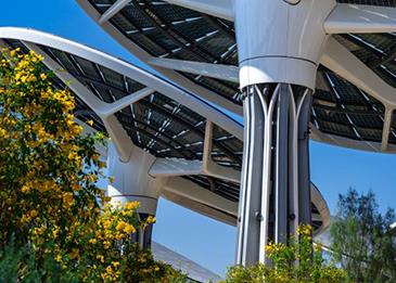 قريبًا أشجار تعمل بالطاقة الشمسية لشحن السيارات