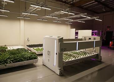 "أنجوس" المزارع الآلي... تعرف إلى قصته