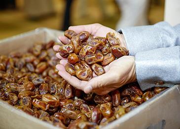 تقرير: السعودية تنتج 14 ألف طن من التمور العضوية سنويًا