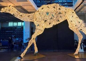 السعودية تسعى لتسجيل رقم قياسي عالمي بأكبر مجسم للهجن في العالم