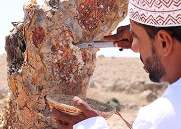 اكتشف ألماس عُمان في تجربة تخطف الأنفاس بمنتجع البليد صلالة