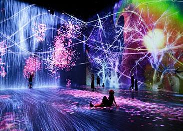 شركة متخصصة في التركيبات ثلاثية الأبعاد تسيطر على باريس