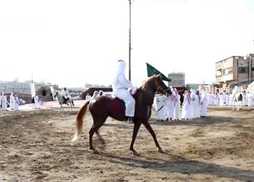 شاهد بالفيديو: خيول تدخل صالة العرس في حفل زفافٍ سعودي!