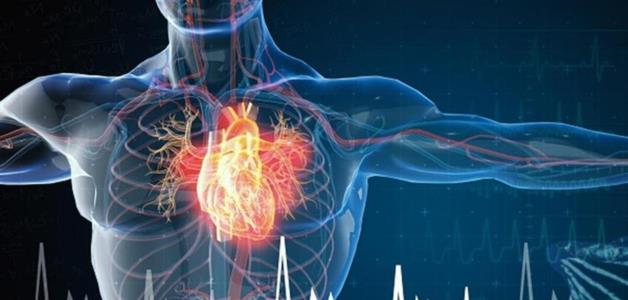 دراسة تؤكد أن زيادة الراتب تحمي من أمراض القلب والسكتات الدماغية