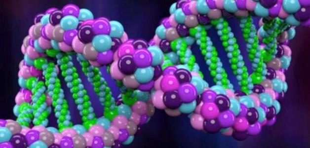 بحث عن ال DNA