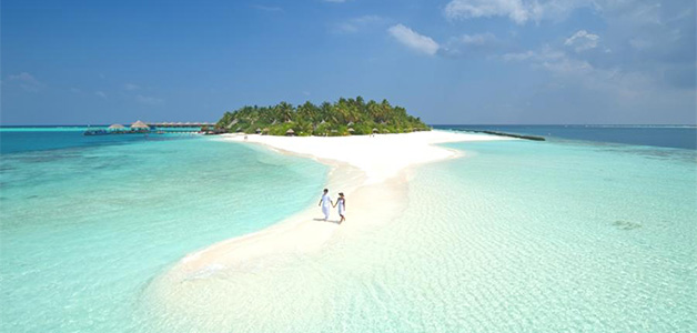 الحياة الحالمة في منتجع Vilu Reef Beach & Spa بالمالديف