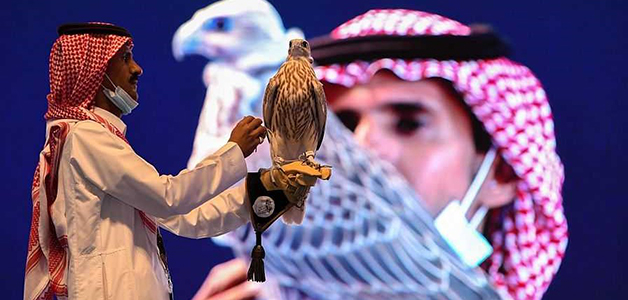 بيع أغلى صقر سعودي نادر بـ270 ألف ريال سعودي في مزاد دولي