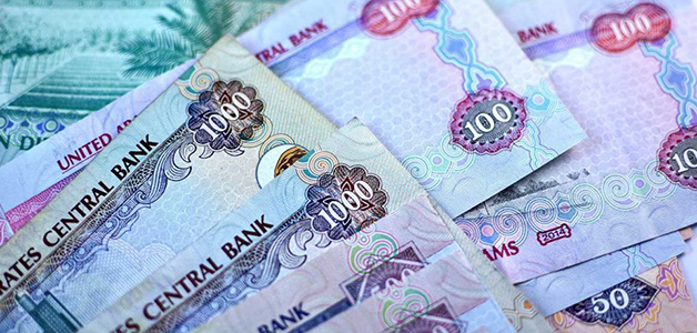 الإمارات: 4333 درهمًا معدل متوسط الإنفاق الشهري للفرد