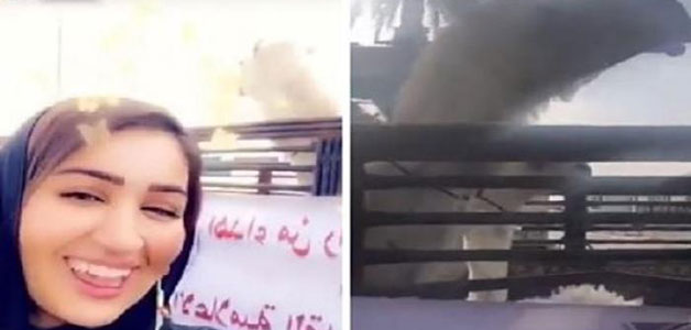 اضغط لمشاهدة الفيديو: مالك إبل يهدي مذيعة  MBCناقة!
