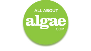 Algae World MENA