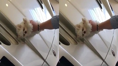 هكذا يغسل أبناء العائلات الثرية سياراتهم .. فيديو
