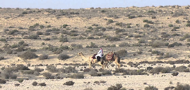 اختطاف 26 قطريًا في العراق من بينهم أحد أفراد الأسرة الحاكمة
