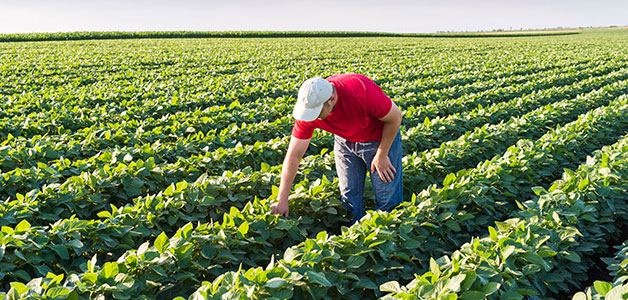 منظمة USDA تطلق تقرير مبادئها التوجيهية لتناول الطعام الصحي