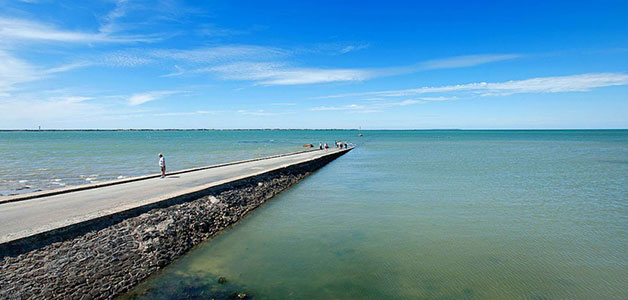 طريق Passage du Gois الذي يختفي تحت الماء في فرنسا